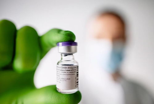 乙草胺的副作用了解一下