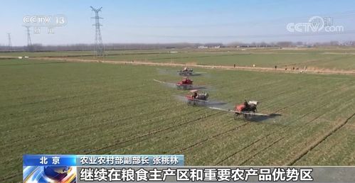 有机蔬菜的困境