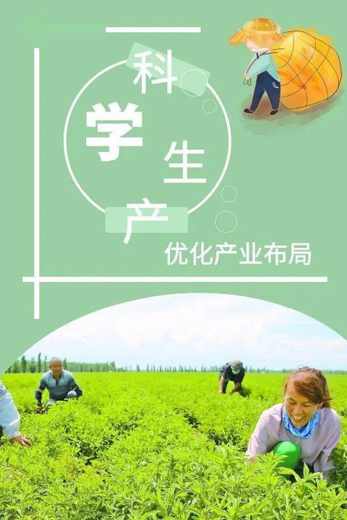 农资保养，守护丰收之源