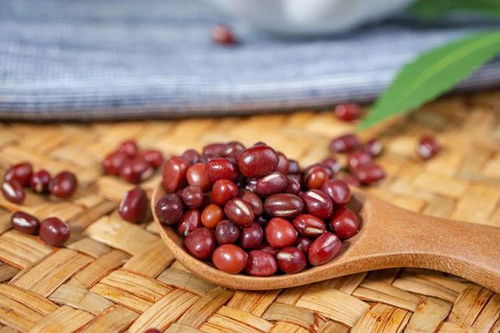 红豆与赤小豆，究竟有何不同