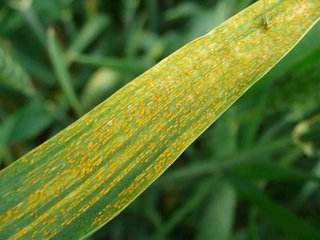 混用有风险， 操作需谨慎