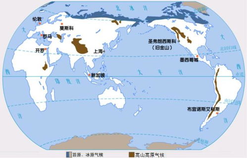 施肥禁忌：养花的智慧