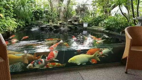 室内景观小型假山鱼池，适合哪些家居环境？