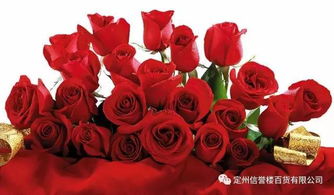 玫瑰花花瓶的水量之谜