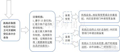 精准预判母猪产程，如何确保操作流程规范