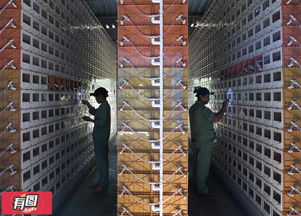 特色养殖， 致富新途径