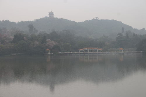 生态环保，怎么个结合法？