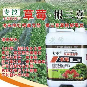 乙草胺红薯苗后使用是否平安有效？