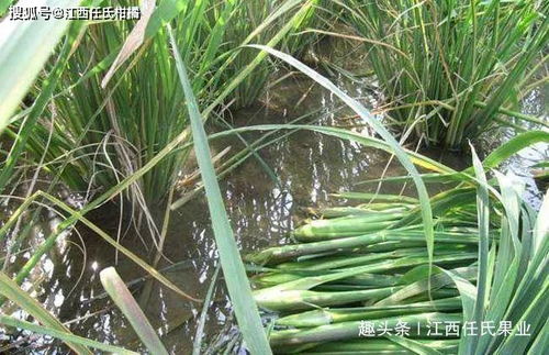 避坑指南， 这些雷区要绕行