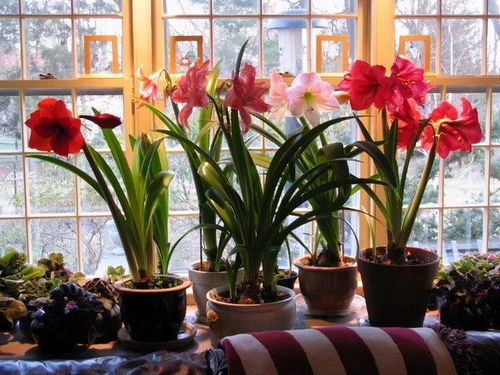 二、土壤要透气