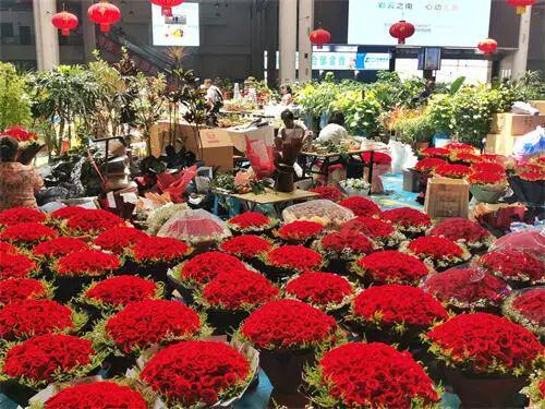 斗南花市康乃馨，如何包装成浪漫双礼