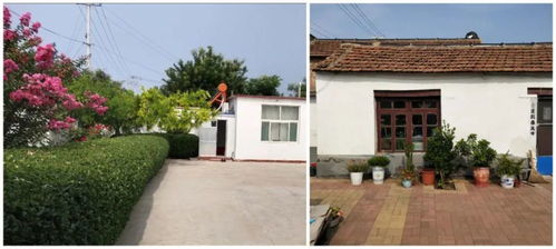 庭院美化师培训课程探寻