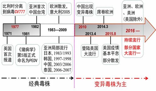 弱毒冻干苗与灭活苗：免疫效果不同