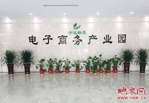 桐柏县艾草产业助力脱贫， 新发展模式经验分享