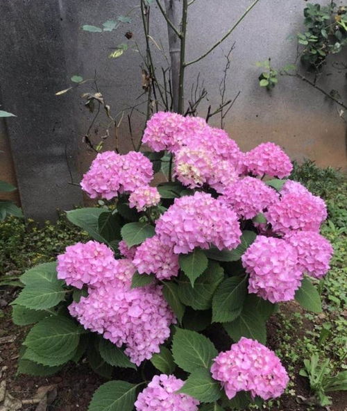 第二步：进行处理