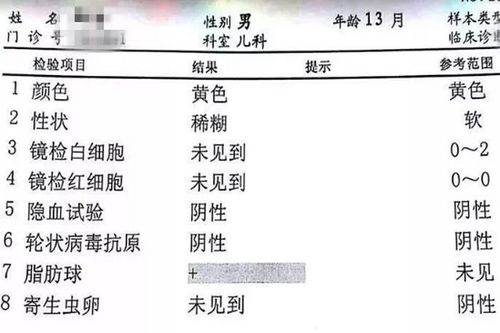 畜牧养殖中，消化系统检查要点包括观察粪便形态、颜色