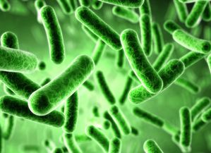 农户如何科学应对菌酯类甲维盐的缺点