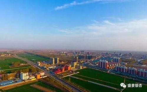 雄安新区绿化苗木市场对哪些品种的需求量较大？