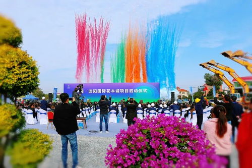 柏加镇花木大市场：规模大不大， 先堪地理位置