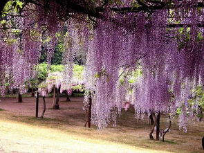 第四步：添加装饰