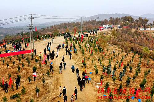 千人植树活动， 共筑生态梦——南阳市卧龙区植树活动见闻