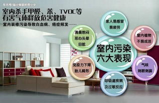 家庭除甲醛，你真的了解吗？