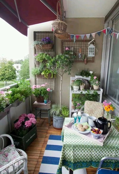 多年生草本， 花开四季，美丽不断