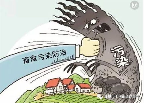胍基乙酸，生猪活力之源