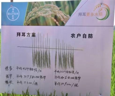 新手常见错误及改进措施