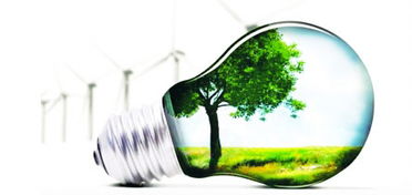 青山绿水就是金山银山