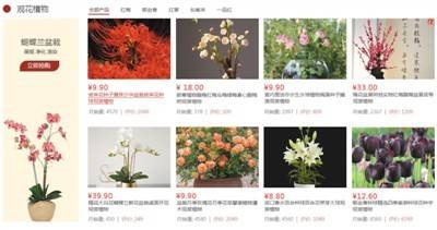 网购花卉，如何避开坑人产区？