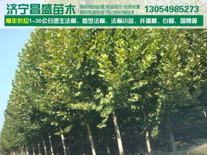 家庭庭院，也讲究