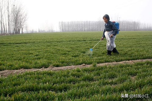 使用乙草胺，平安吗？