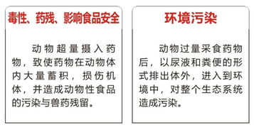 替米考星选对品牌，鸡呼吸道问题轻松解决