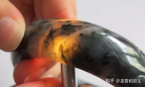 如何辨别鹿茸真假？了解鹿茸特征与常见仿制品