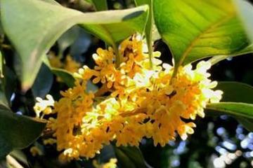 温度， 那可是学问