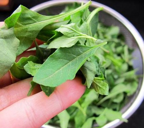 月见草叶怎么吃？简单一炒