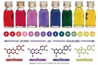 结构色素的魔法：光的折射与干涉