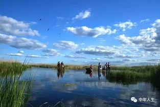 湿地种草， 真的像谈恋爱一样讲究
