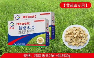 专家建议：精喹禾灵和专用除草剂