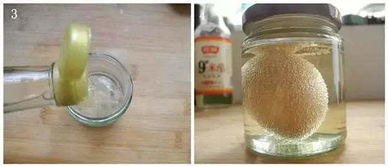 症状出现时间， kan鸡儿多惨