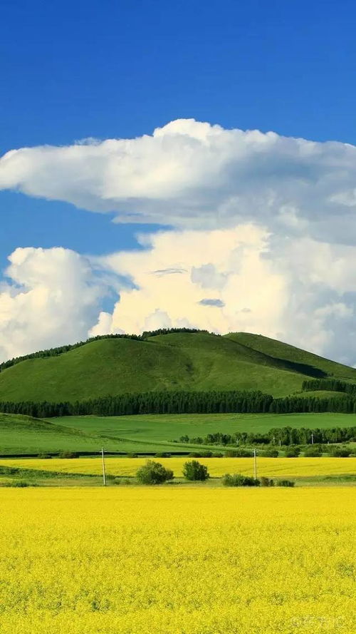 极端天气应对表