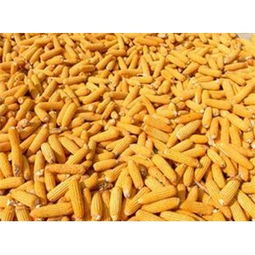 一斤鱼粉相当于多少斤豆粕？鱼粉、豆粕、棉粕、菜粕的营养价值如何比较？