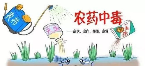 误食农药杀虫剂， 紧急情况下的应对措施