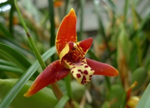 病虫害防治：防范为主