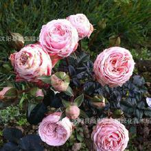 批发与零售的价格差异