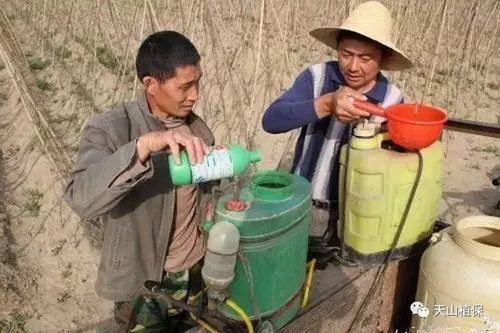 专家的建议