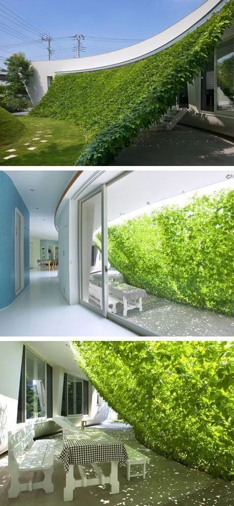 布袋式与铺贴式植物墙