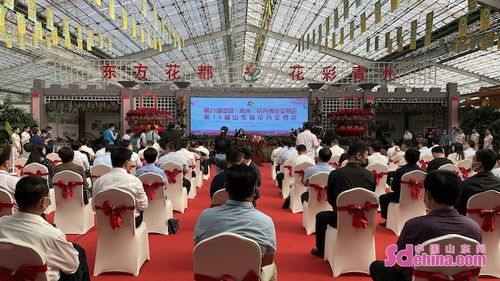 第十届花博会来袭！小白鹭展翅迎接你的到来！