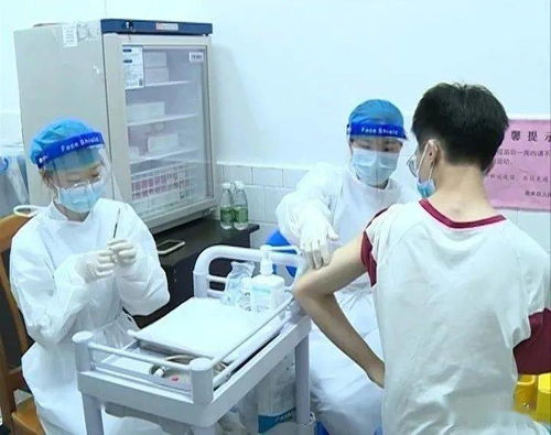 猪群免疫接种：必知要点，确保疫苗效果最大化！